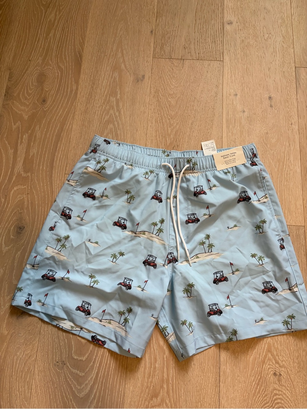 Hollister Light Blue Golf Cart Print Swim Trunks